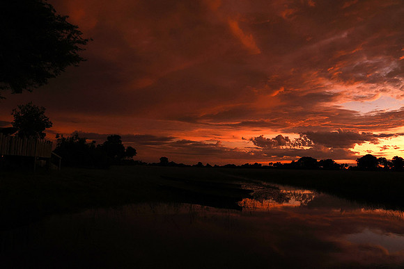 Sunrise - Jacana