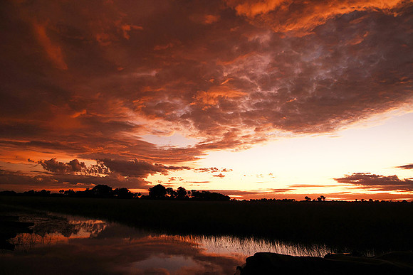 Sunrise - Jacana