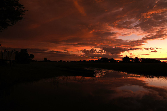 Sunrise - Jacana