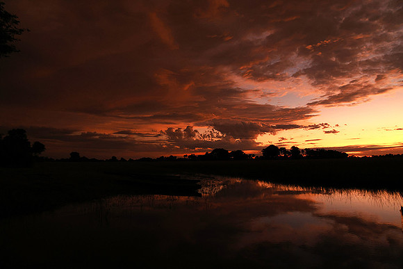 Sunrise - Jacana