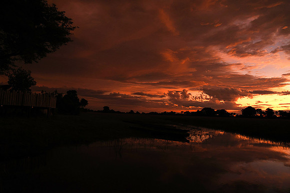Sunrise - Jacana