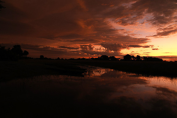 Sunrise - Jacana