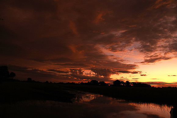 Sunrise - Jacana