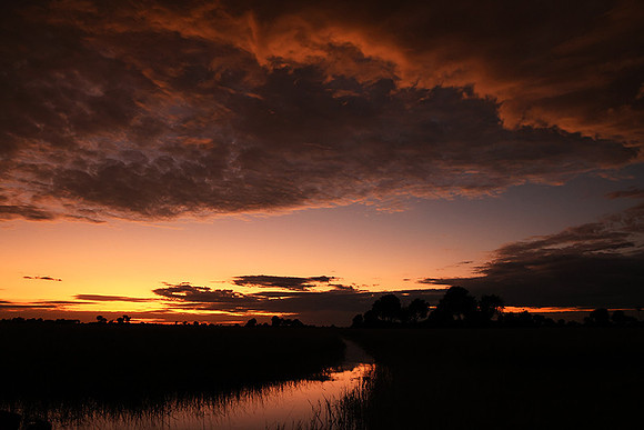 Sunrise - Jacana