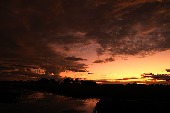 Sunrise - Jacana