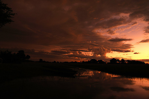 Sunrise - Jacana