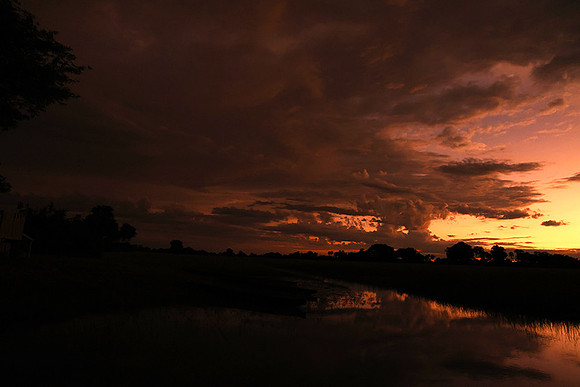Sunrise - Jacana