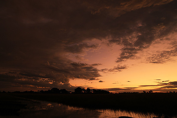 Sunrise - Jacana