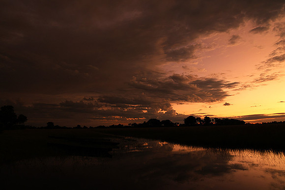 Sunrise - Jacana