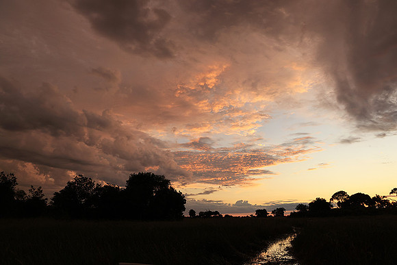 Sunrise - Jacana