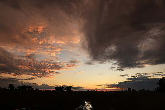 Sunrise - Jacana