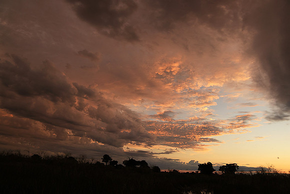 Sunrise - Jacana