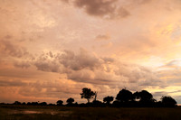 Sunrise - Jacana