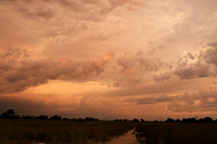 Sunrise - Jacana