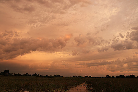 Sunrise - Jacana
