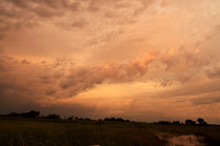 Sunrise - Jacana