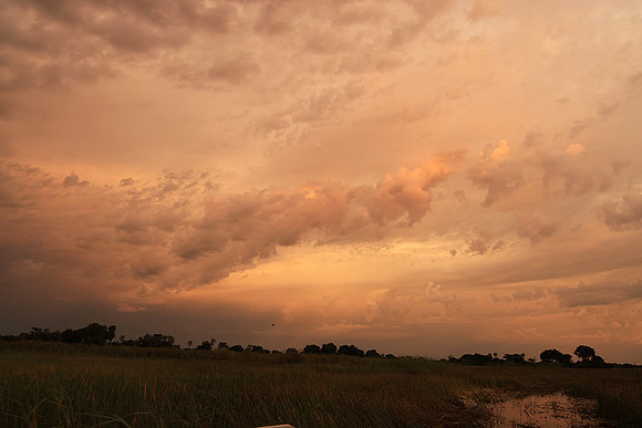 Sunrise - Jacana