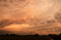 Sunrise - Jacana