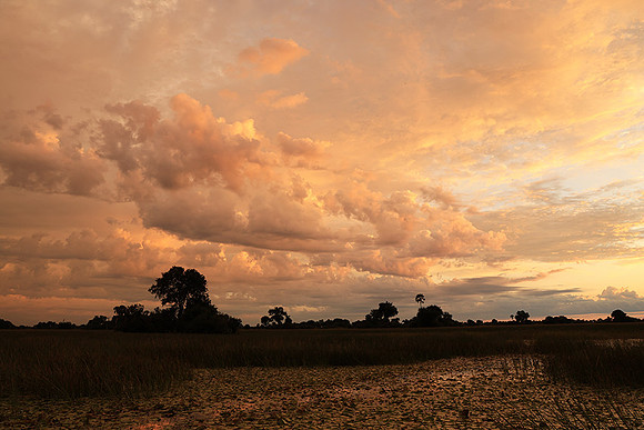 Sunrise - Jacana