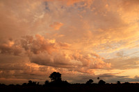 Sunrise - Jacana