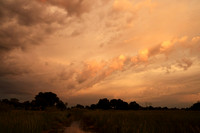 Sunrise - Jacana