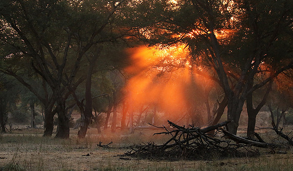 Lower Zambezi