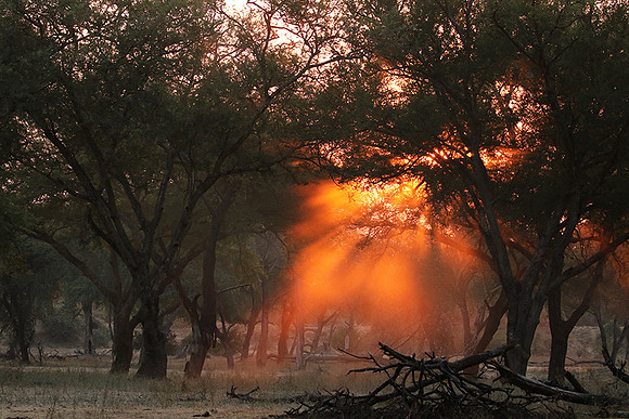 Lower Zambezi