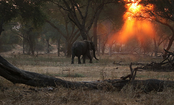 Lower Zambezi