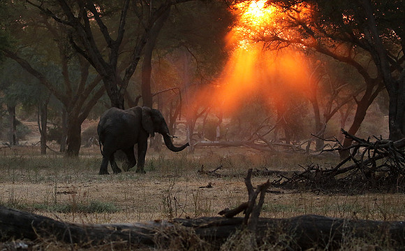 Lower Zambezi