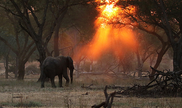 Lower Zambezi