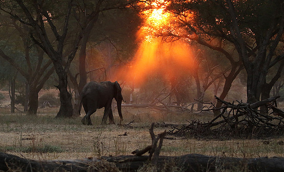 Lower Zambezi