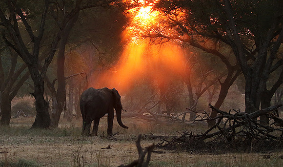 Lower Zambezi
