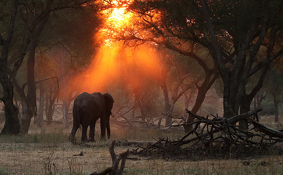 Lower Zambezi