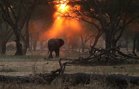 Lower Zambezi