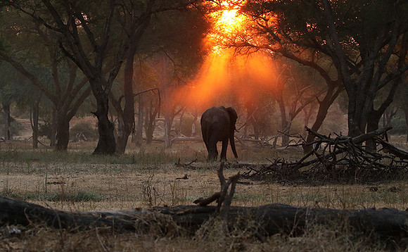Lower Zambezi