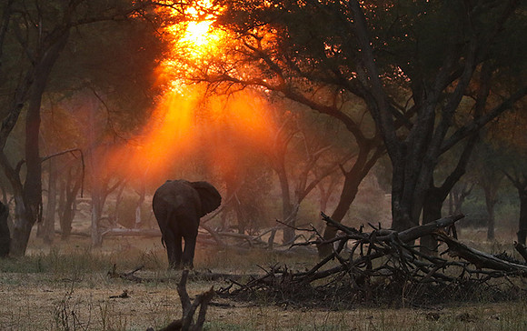 Lower Zambezi