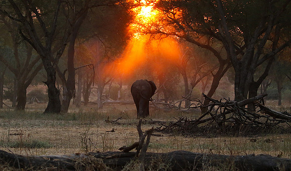 Lower Zambezi