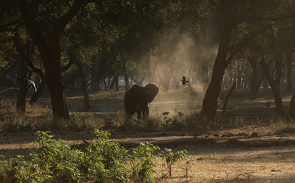 Lower Zambezi