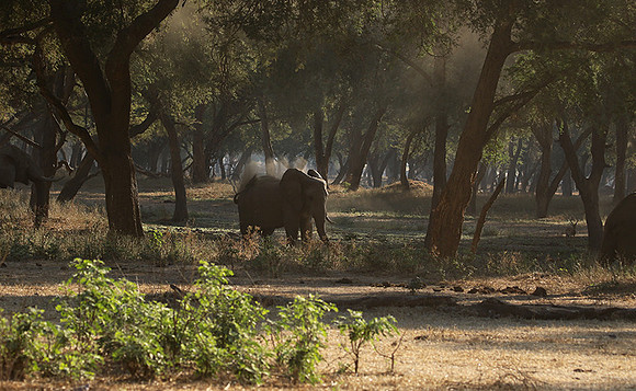 Lower Zambezi