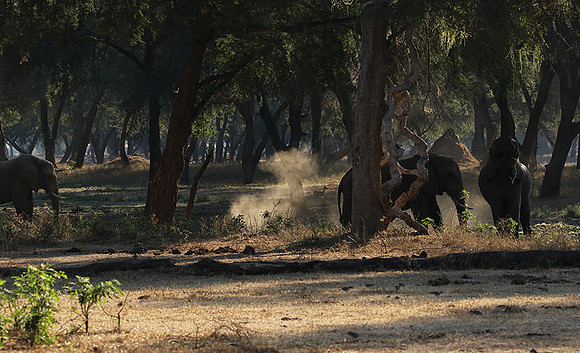 Lower Zambezi