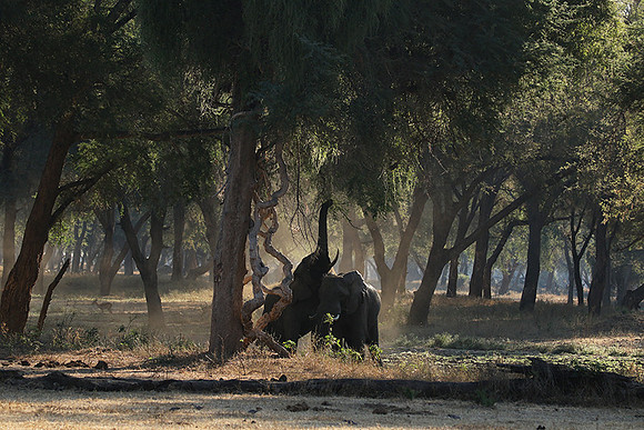 Lower Zambezi