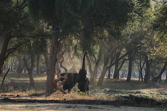 Lower Zambezi