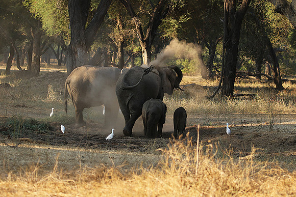 Lower Zambezi