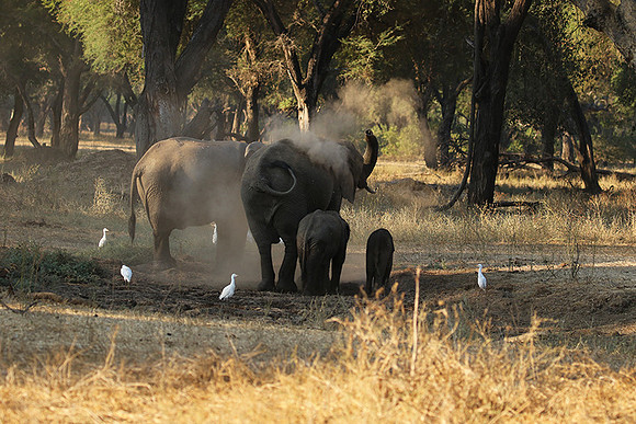 Lower Zambezi