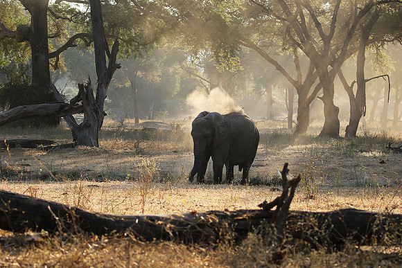 Lower Zambezi