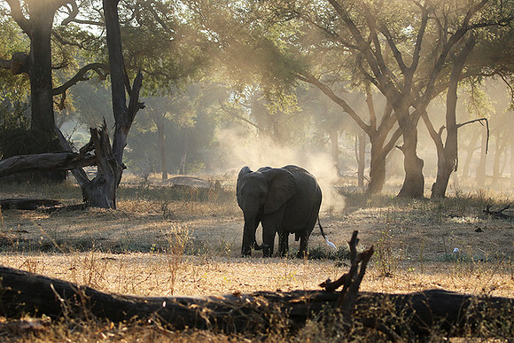 Lower Zambezi
