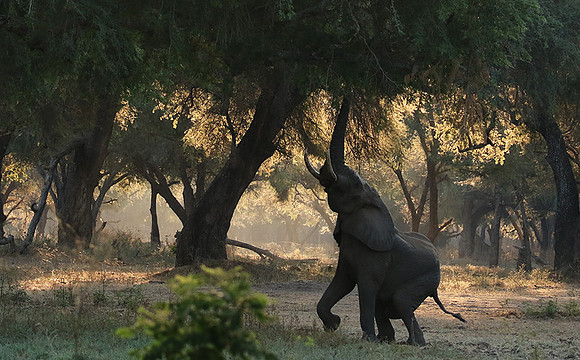 Lower Zambezi