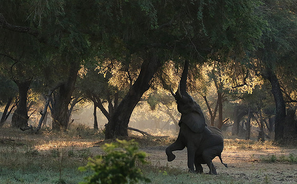 Lower Zambezi
