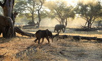 Lower Zambezi