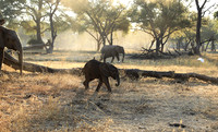 Lower Zambezi